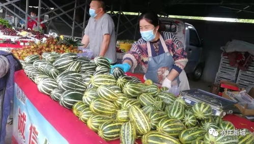 亦庄新城西侧新发现 团河鑫发农副产品市场，早市关闭后的理想替代选择