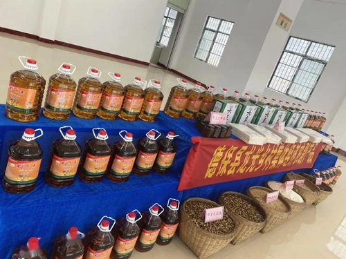 德保县龙光乡集体经济村村联营农副产品开发中心项目竣工揭牌